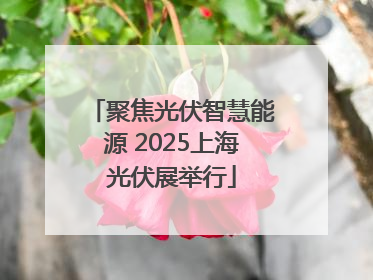 聚焦光伏智慧能源 2025上海光伏展举行