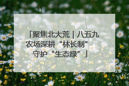 聚焦北大荒｜八五九农场深耕“林长制” 守护“生态绿”