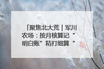 聚焦北大荒｜军川农场：按月核算记“明白账”精打细算“过紧日子”