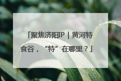 聚焦济阳IP｜黄河特食谷，“特”在哪里？