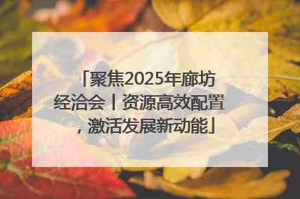 聚焦2025年廊坊经洽会丨资源高效配置，激活发展新动能