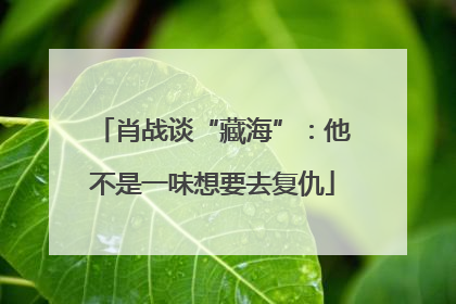 肖战谈“藏海”：他不是一味想要去复仇