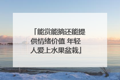能赏能摘还能提供情绪价值 年轻人爱上水果盆栽