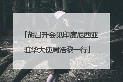 胡昌升会见印度尼西亚驻华大使周浩黎一行