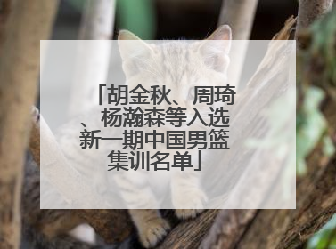胡金秋、周琦、杨瀚森等入选新一期中国男篮集训名单