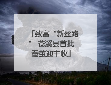 致富“新丝路” 苍溪县首批蚕茧迎丰收