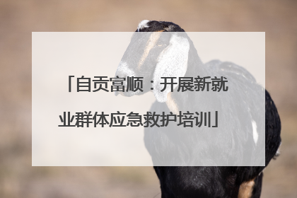 自贡富顺：开展新就业群体应急救护培训