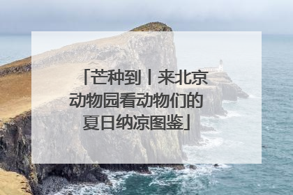 芒种到丨来北京动物园看动物们的夏日纳凉图鉴