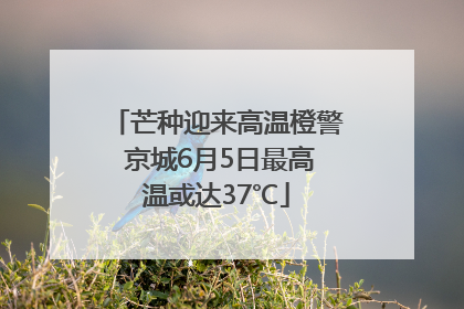 芒种迎来高温橙警 京城6月5日最高温或达37℃