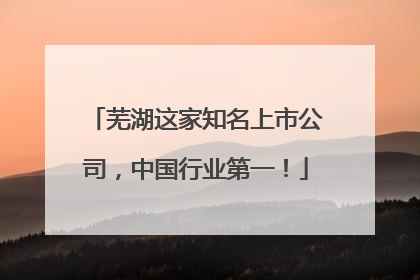芜湖这家知名上市公司，中国行业第一！