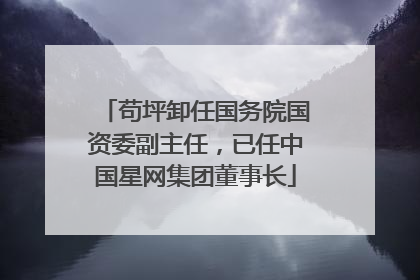苟坪卸任国务院国资委副主任，已任中国星网集团董事长