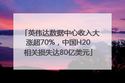 英伟达数据中心收入大涨超70%，中国H20相关损失达80亿美元