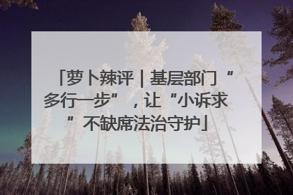 萝卜辣评｜基层部门“多行一步”，让“小诉求”不缺席法治守护
