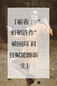 蕲春：“虾稻连作”破困局 科技赋能焕新生