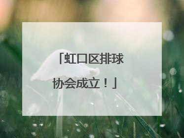虹口区排球协会成立！