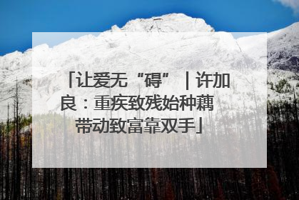 让爱无“碍”｜许加良：重疾致残始种藕 带动致富靠双手