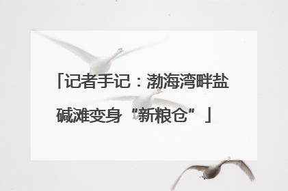记者手记：渤海湾畔盐碱滩变身“新粮仓”