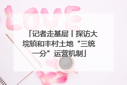 记者走基层丨探访大垸镇和丰村土地“三统一分”运营机制