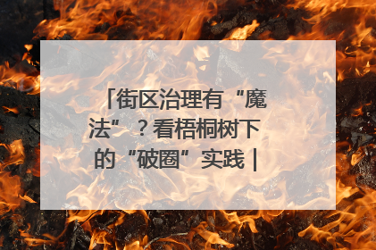 街区治理有“魔法”？看梧桐树下的“破圈”实践｜我在街区当书记