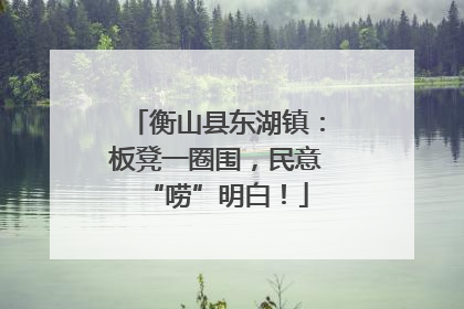 衡山县东湖镇：板凳一圈围，民意“唠”明白！