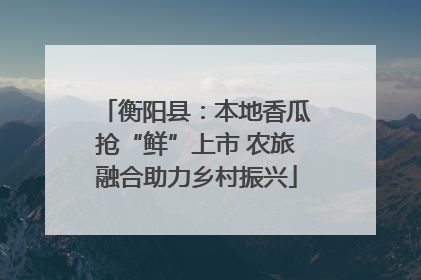 衡阳县：本地香瓜抢“鲜”上市 农旅融合助力乡村振兴