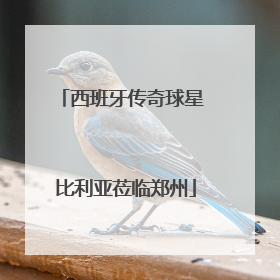 西班牙传奇球星 比利亚莅临郑州