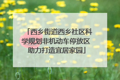 西乡街道西乡社区科学规划非机动车停放区 助力打造宜居家园