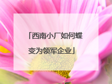 西南小厂如何蝶变为领军企业