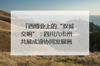 西博会上的“双城交响”：四川六市州共展成渝协同发展画卷｜西博视界
