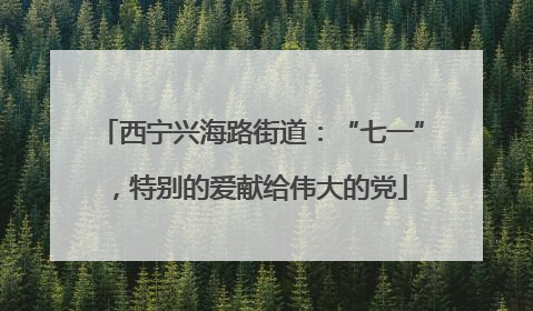 西宁兴海路街道：“七一”，特别的爱献给伟大的党