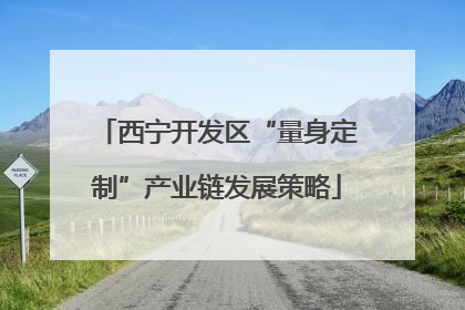 西宁开发区“量身定制”产业链发展策略