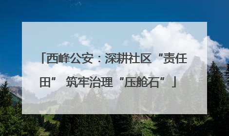 西峰公安：深耕社区“责任田” 筑牢治理“压舱石”