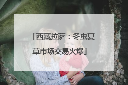 西藏拉萨：冬虫夏草市场交易火爆