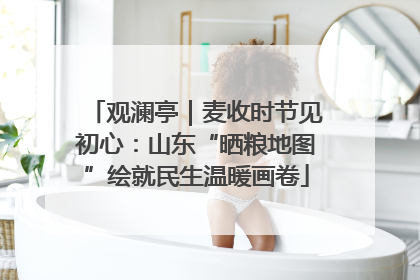 观澜亭｜麦收时节见初心：山东“晒粮地图”绘就民生温暖画卷