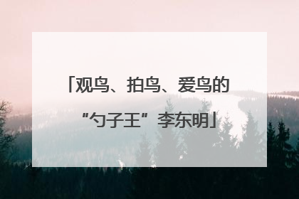 观鸟、拍鸟、爱鸟的“勺子王”李东明