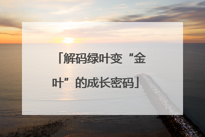 解码绿叶变“金叶”的成长密码