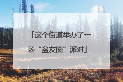 这个街道举办了一场“盆友圈”派对
