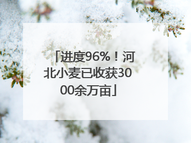 进度96%！河北小麦已收获3000余万亩