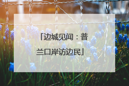 边城见闻：普兰口岸访边民