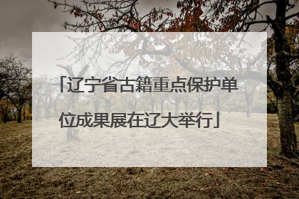 辽宁省古籍重点保护单位成果展在辽大举行