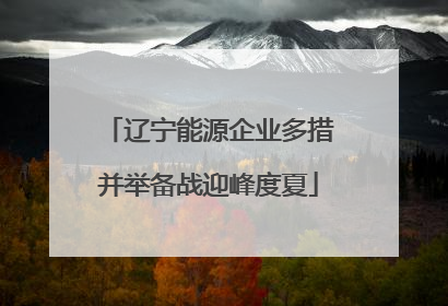 辽宁能源企业多措并举备战迎峰度夏
