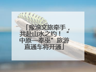 豫渝文旅牵手，共赴山水之约！“中原—奉巫”旅游直通车将开通