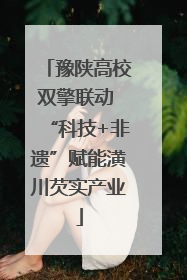 豫陕高校双擎联动 “科技+非遗”赋能潢川芡实产业