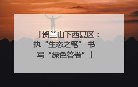 贺兰山下西夏区：执“生态之笔” 书写“绿色答卷”
