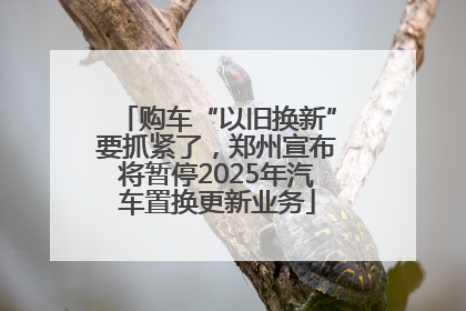 购车“以旧换新”要抓紧了，郑州宣布将暂停2025年汽车置换更新业务