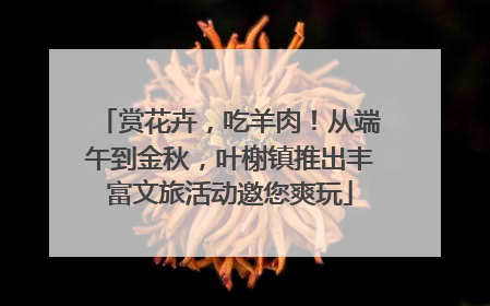 赏花卉，吃羊肉！从端午到金秋，叶榭镇推出丰富文旅活动邀您爽玩