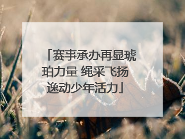 赛事承办再显琥珀力量 绳采飞扬逸动少年活力