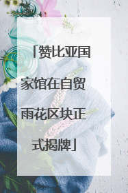 赞比亚国家馆在自贸雨花区块正式揭牌