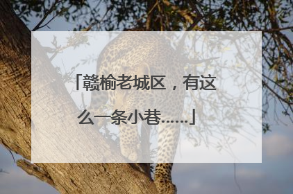 赣榆老城区，有这么一条小巷……