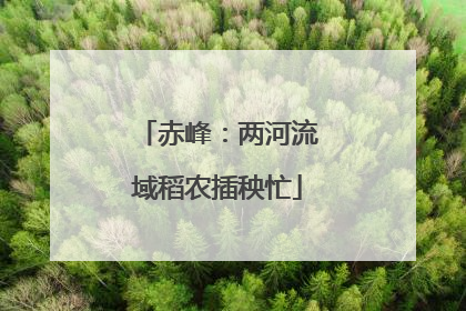 赤峰：两河流域稻农插秧忙